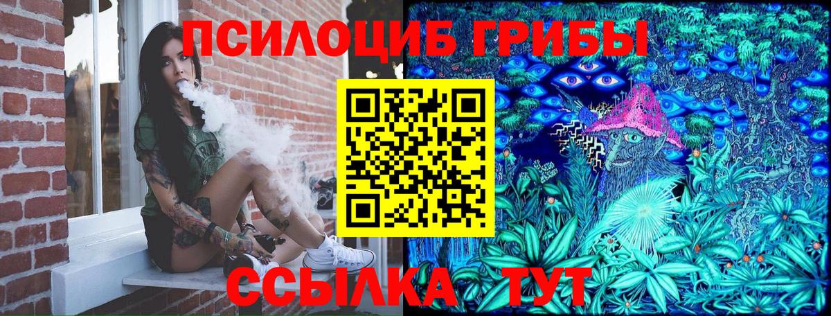 где продают   Псилоцибиновые грибы Psilocybe  Москва  Вход с VPN  Галлюциногенные грибы мицелий 